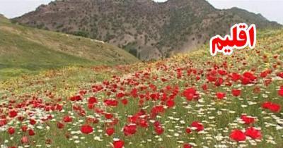 جزئیات برنامههای نوروزی شبکه ۳ سیما/ ساعت پخش - 35