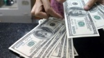 آخرین قیمت خرید دلار در بانکها
