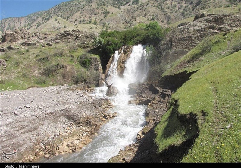 شگفتانگیزترین ماهی جهان در لرستان + تصاویر - 7