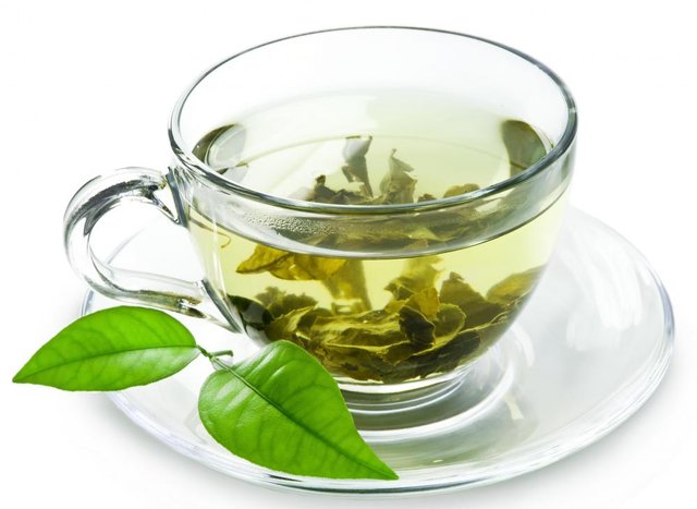 آیا چای سبز باعث لاغری میشود؟ - 0