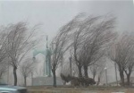 سیل و طوفان در 12 استان کشور