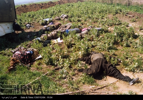بمباران شیمیایی حلبچه از سوی رژیم بعث عراق (عکس) - 19