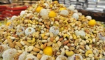 90 دقیقه گفتوگو/ برای شب یلدا آجیل میخرید؟
