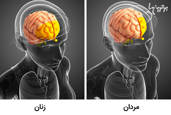 واقعیات جالبی که دوست دارید با دیگران به اشتراک بگذارید - 26
