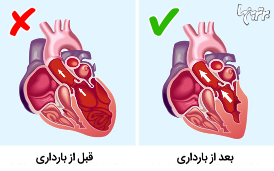 واقعیات جالبی که دوست دارید با دیگران به اشتراک بگذارید - 15
