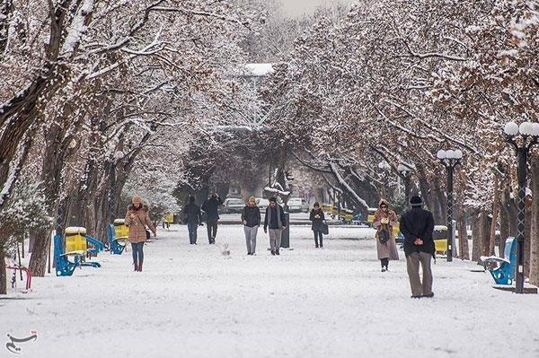 حال خوش تبریز در روزهای برفی - 9