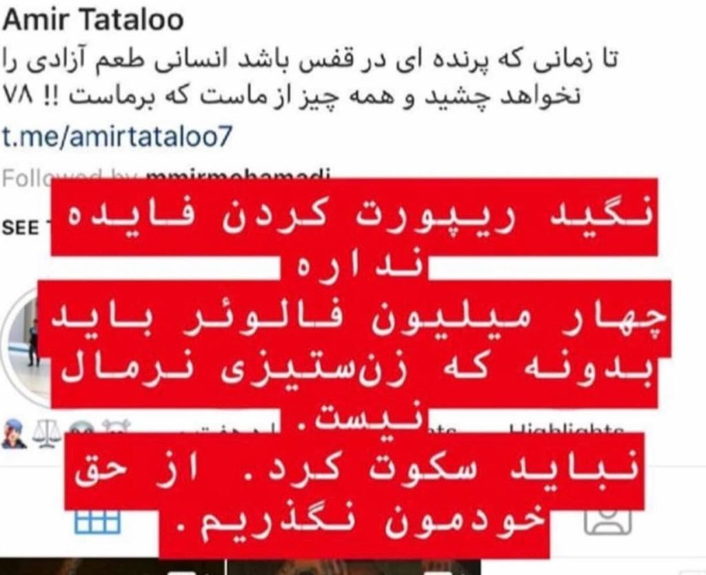 گزارشات مردمی در اینستاگرام باعث مسدود سازی صفحه «امیر تتلو» شد - 6