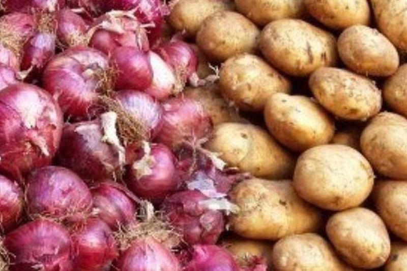 صادرات سیب زمینی و پیاز ممنوع شد - 0