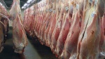 واردات ۱۲۶ هزار تن گوشت قرمز در سال جاری