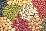 قیمت انواع حبوبات بستهبندی در میادین میوه و ترهبار اعلام شد