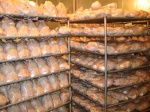 عرضه گوشت مرغ با قیمتی بالاتر از ۱۲ هزار تومان تخلف است