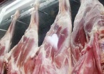 سرمایهداران میتوانند به واردات دام زنده ورود کنند