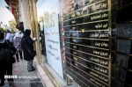 سودای دلالان برای افزایش دوباره نرخ دلار/ سکان بازار بدست بازارساز