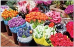 کاهش ۴۰ درصدی قیمت گل در بازار
