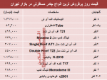 با چه قیمتی چادر مسافرتی بخریم؟
