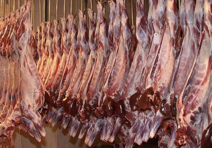 با واردات دام زنده از رومانی: قیمت گوشت کاهش مییابد؟ - 4