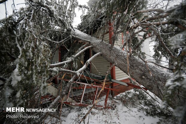 طوفان بمب در آمریکا - 21
