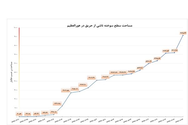 حریق هورالعظیم به بخش ایران سرایت کرد - 5