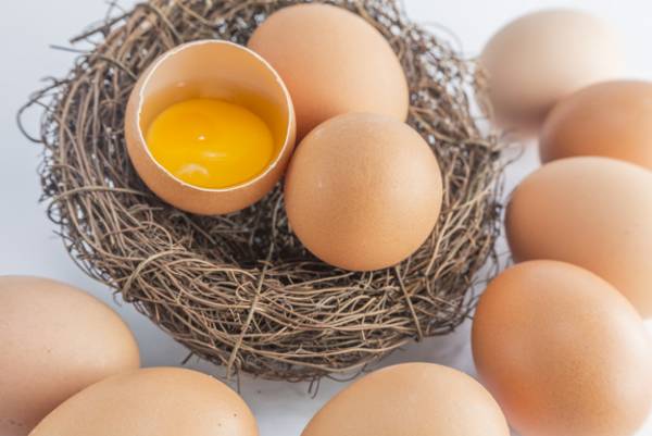 به این دلایل تخم مرغ را عسلی بخورید! - 15
