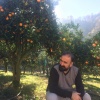 «مهران احمدی» و میوههای باغش +عکس