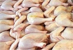 عرضه اولیه سهام یک شرکت تولید گوشت مرغ، فردا در فرابورس