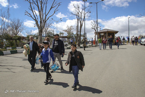 روز طبیعت در استانها - 5