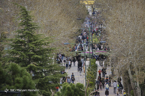روز طبیعت در استانها - 27