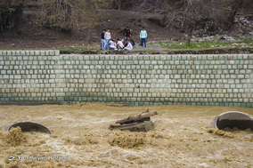 روز طبیعت در استانها - 18