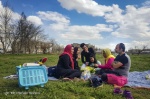 روز طبیعت در استانها